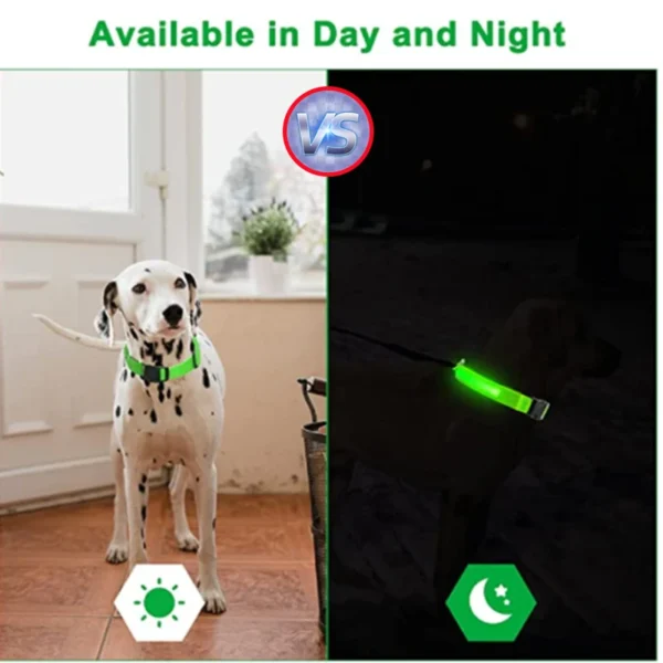 Dog Rechargeable Usb Luminous Collar Led Small Dog - Luminous Collar Adjustable - Image 5