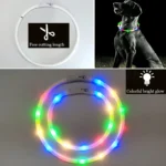 Next Product Image
