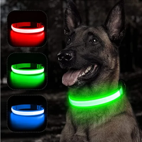 Dog Rechargeable Usb Luminous Collar Led Small Dog - Luminous Collar Adjustable