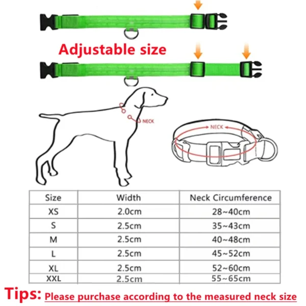 Dog Rechargeable Usb Luminous Collar Led Small Dog - Luminous Collar Adjustable - Image 6