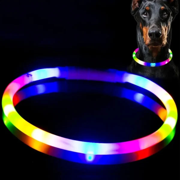 Dog New Led Luminous Collar 4 Flashing Modes Glowing Silicone Colorful Collar , For Pet Dogs Cat Light Safety Walking at Night - Image 2