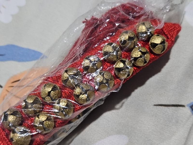 Bharatanatyam Ghungroo Anklets – Traditional Dance Bells for Classical Dancers 2 line - Image 7